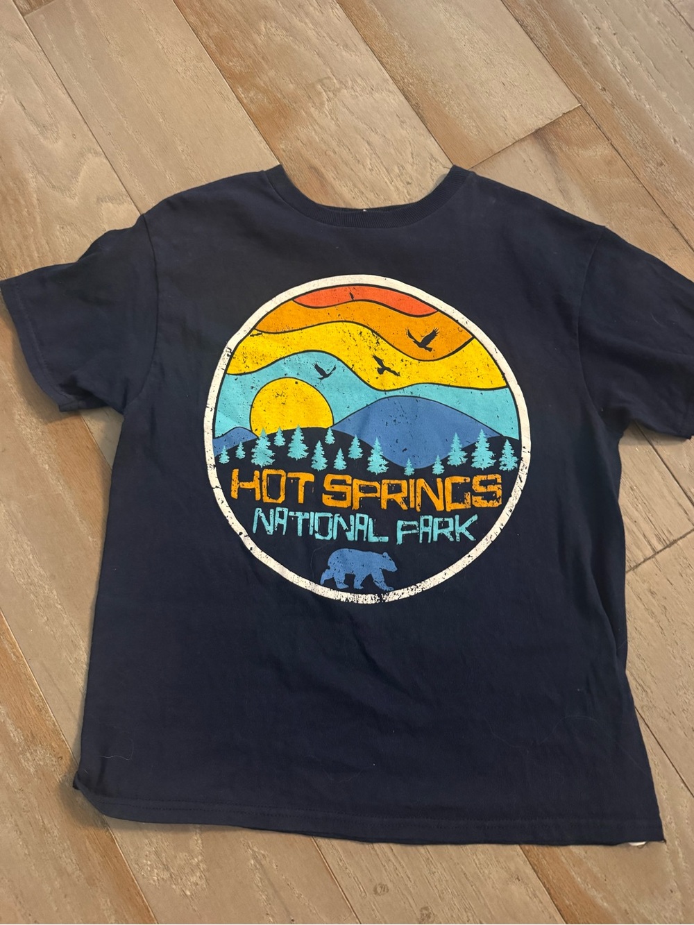 Delta Navy Hot Springs National Park Graphic Tee - Yellow Orange Teal